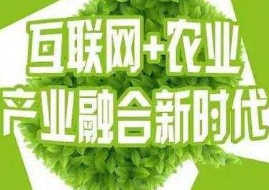 互聯(lián)網(wǎng)+農(nóng)業(yè)發(fā)展現(xiàn)狀前景分析-互聯(lián)網(wǎng)對(duì)我國農(nóng)業(yè)的影響-KIA MOS管