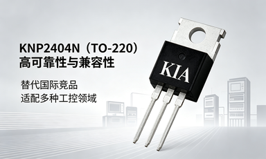 KNP2404N